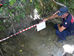 Carabinieri Forestale Falconara Albanese scarico abusivo torrente Peschiera