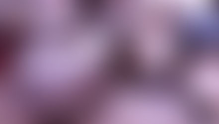 Sequestro di cocaina e marijuana operazione Tabula Rasa Guardia di Finanza