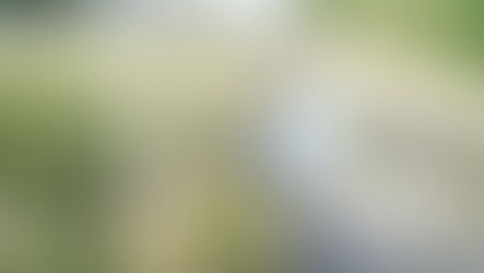 Diamante, reflui fognari versati in un terreno. Ordinanza di Pascale