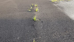 Scalea, nella nuova area fiere cresce già l'erba sull'asfalto. L'attacco di Orrico
