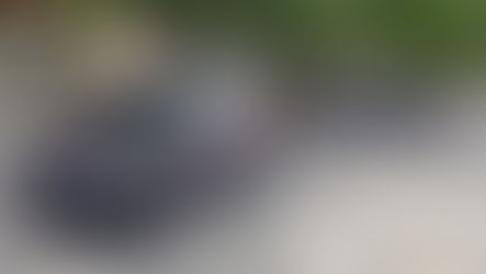 Furto in gioielleria a Mormanno: agli arresti i presunti responsabili della provincia di Roma