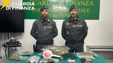 Militari Guardia di Finanza Crotone durante sequestro marijuana Isola Capo Rizzuto