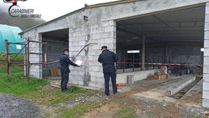 Maierà, abusivismo edilizio: sigilli ad un manufatto