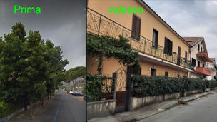 Tortora, taglio di alberi sulla provinciale, Italia nostra protesta