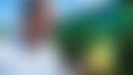 Cedro "Dop": Adduci risponde a Coldiretti Calabria