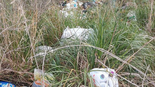 Grisolia, getta spazzatura in un'area verde. Multato 
