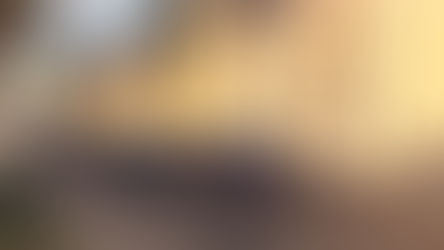 Cosenza, "Gazze ladre”: 17 misure cautelari. I particolari dell'attività al villaggio degli zingari 