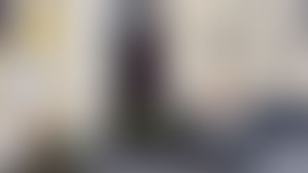 Catanzaro tre arresti guardia di finanza