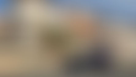 Scalea, due latitanti della camorra in manette