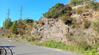 Costone roccioso a rischio cedimenti in via Giosuè Carducci a Praia a Mare