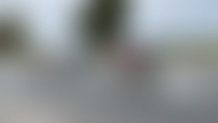 Decoro e pulizia: sulla riviera dei cedri nasce "Sempre in Giro"