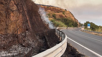Emergenza incendi tra Belvedere Marittimo e Diamante: l'amministrazione fa fronte comune con il sindaco Ordine e condanna la "mano criminale" dietro i roghi