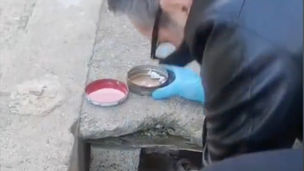 Blitz antidroga a Doria di Cassano: la Polizia sequestra eroina e cocaina nelle case popolari