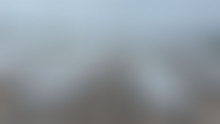 Coltivazione di limoni IGP danneggiata dalla grandine e campo agricolo allagato in Calabria a causa del maltempo di aprile 2026