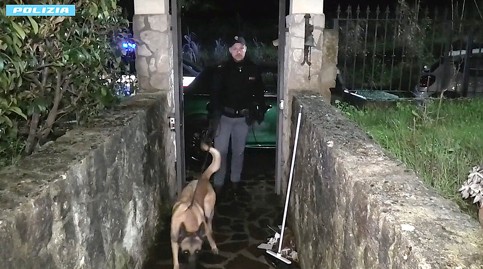 Polizia di Stato Cosenza operazione antidroga sequestro panetti hashish e cocaina