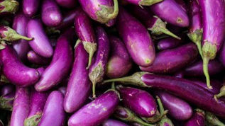 melanzana violetta di Longobardi Presidio Slow Food