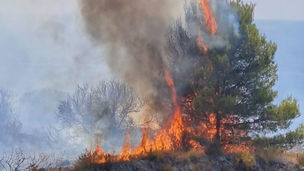 Incendio in località Petrosa a Scalea