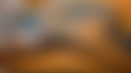 Arresto a Stefanaconi: fucile con matricola abrasa e droga in un casolare