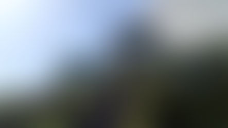 Praia a Mare, l'area "Aquafans” restituita al comune. Gli amministratori di "ieri" esultano