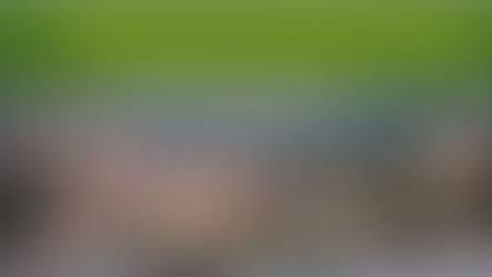 Dopo il Covid, le opportunità nel settore dell'agricoltura. Incontro a Scalea: venerdì 21 aprile