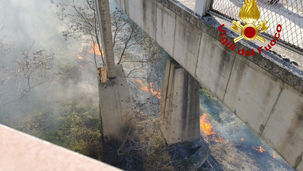 Catanzaro, vasto incendio nell'area del ponte Morandi