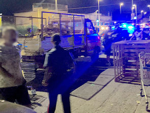 Scalea, “Operazione Zero Falò”: sequestrata legna e stop ai roghi in spiaggia