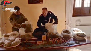 Armi, munizioni e droga nascoste nel canneto: un arresto a Castrovillari 🖥