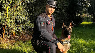 Fenrir unità antiveleno dei Carabinieri Parco durante un intervento