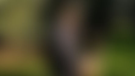 Fenrir unità antiveleno dei Carabinieri Parco durante un intervento