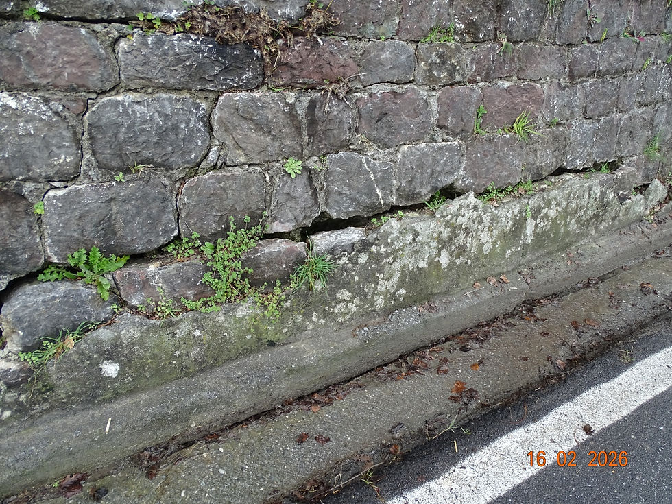 dissesto stradale SP5 Verbicaro località Quercia di Longammuscio; Cedimento muro contenimento Schiena la Torre Verbicaro