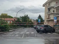 Scalea, il maltempo fa cadere un albero sulla strada in viale Europa