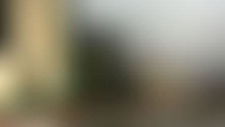 Incendio magazzino Istituto Manzoni Catanzaro