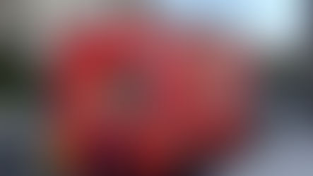 Botulino a Diamante l'ambulante in procura