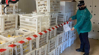 Sequestrati 13 quintali di prodotti di panificazione e pasta fresca a San Lorenzo del Vallo