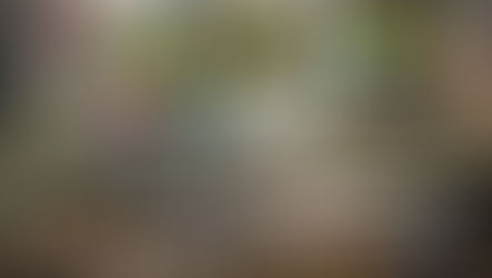 operazione per il sequestro di armi a Zungri