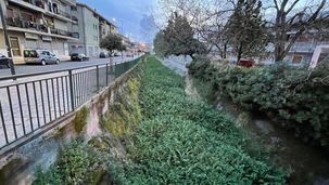 Il canale Tirello "in fiore": ma il consorzio non doveva provvedere alla manutenzione?