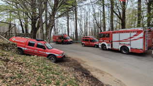 Escursionisti dispersi sull'Aspromonte: salvati dai Vigili del Fuoco dopo una notte al freddo