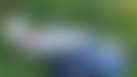 Dinami: armi rinvenute nelle preserre vibonesi