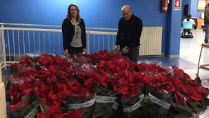 Stelle di Natale AIL: l’Istituto Comprensivo “Borsellino” di S. Maria del Cedro sostiene la ricerca