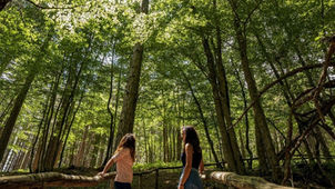 Calabria, le Giornate FAI di Primavera