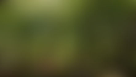 Calabria, le Giornate FAI di Primavera 