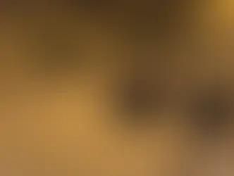 Verbicaro, cinghiali nel centro abitato: il video e i rischi degli incontri