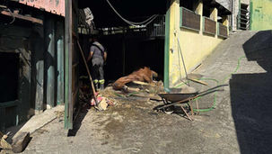 Vigili del fuoco durante l’incendio del capannone a Fuscaldo
