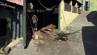 Vigili del fuoco durante l’incendio del capannone a Fuscaldo