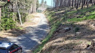 Nardodipace, area sequestrata dai carabinieri forestale
