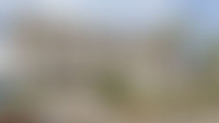 Scalea: sindacato Usb incontra il commissario prefettizio per migliorare l’igiene ambientale