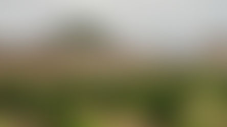 Si discute sulla destinazione di Castel San Mauro a Corigliano Rossano