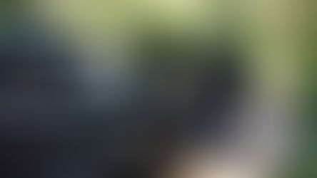 Scilla, inquinamento fognario, concluse le indagine preliminari nei confronti di  4 tecnici comunali