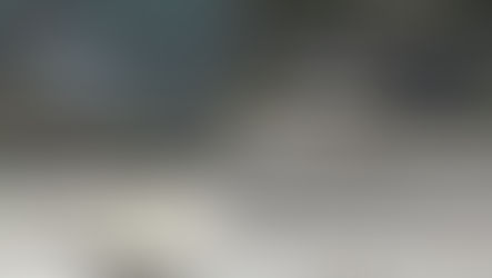  Un'automobile ribaltata e parzialmente sommersa nelle acque del torrente Sant'Agata a Reggio Calabria, durante le operazioni di salvataggio