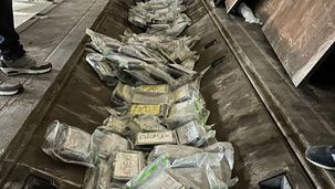 Sequestrati 137 kg di cocaina, arrestato un uomo di Polistena